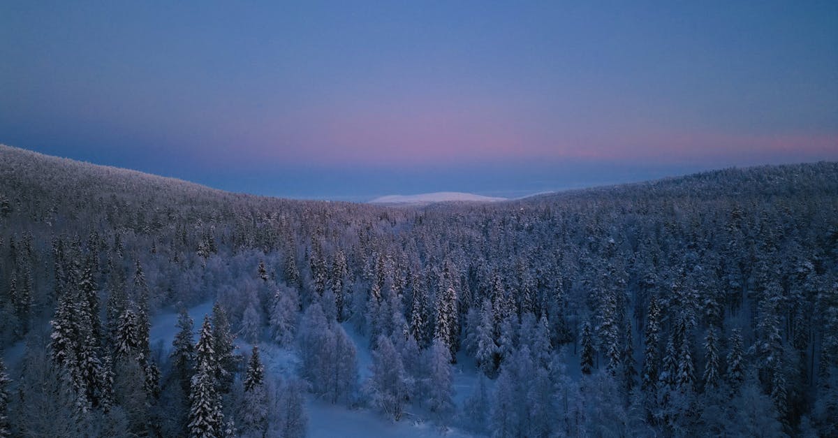 A serene winter dawn over a snow-covered forest in Ylläsjärvi, Lapland, Finland.